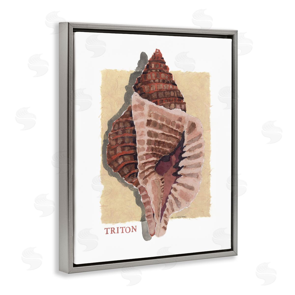 Nancy Overton Nautical Triton Shell Canvas Wall Art Print
