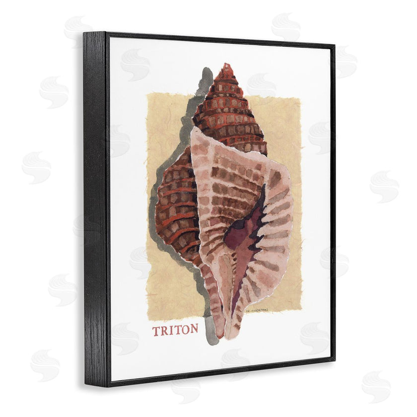 Nancy Overton | Nautical Triton Shell