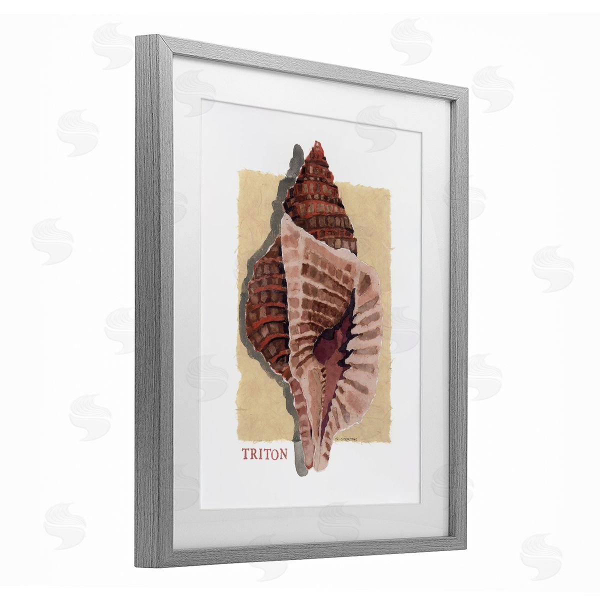 Nancy Overton Nautical Triton Shell Canvas Wall Art Print