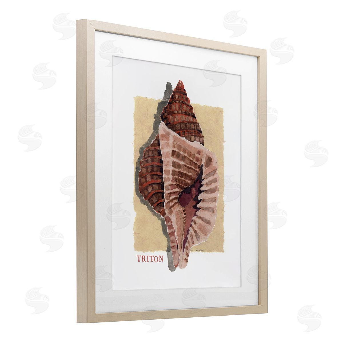 Nancy Overton Nautical Triton Shell Canvas Wall Art Print
