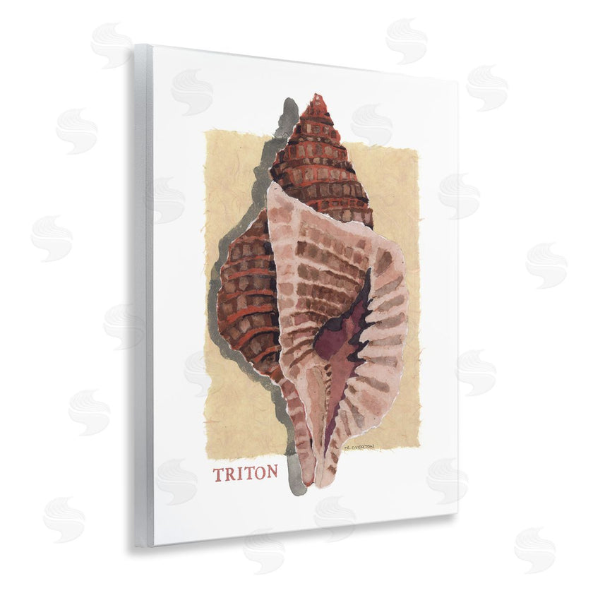 Nancy Overton | Nautical Triton Shell