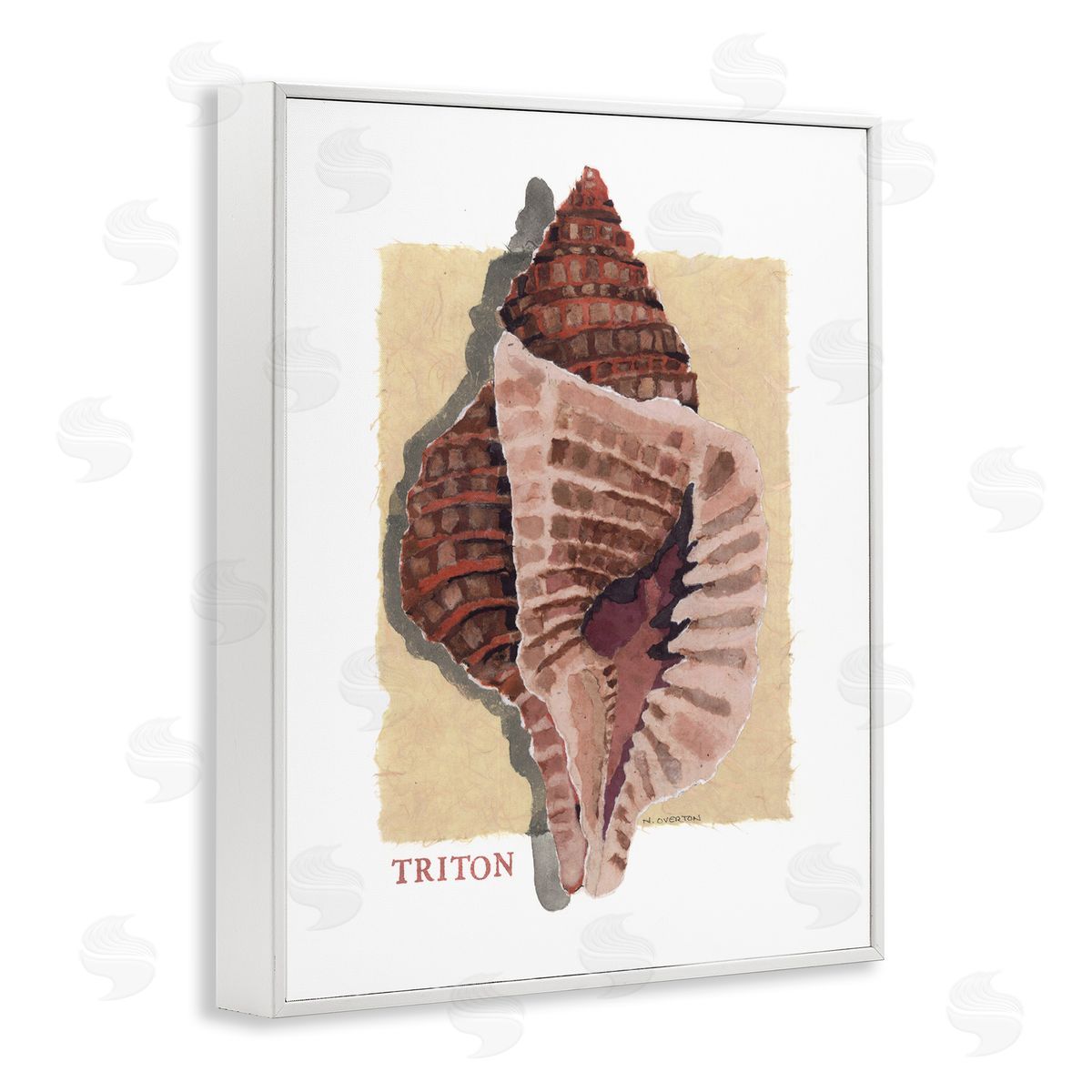 Nancy Overton Nautical Triton Shell Canvas Wall Art Print