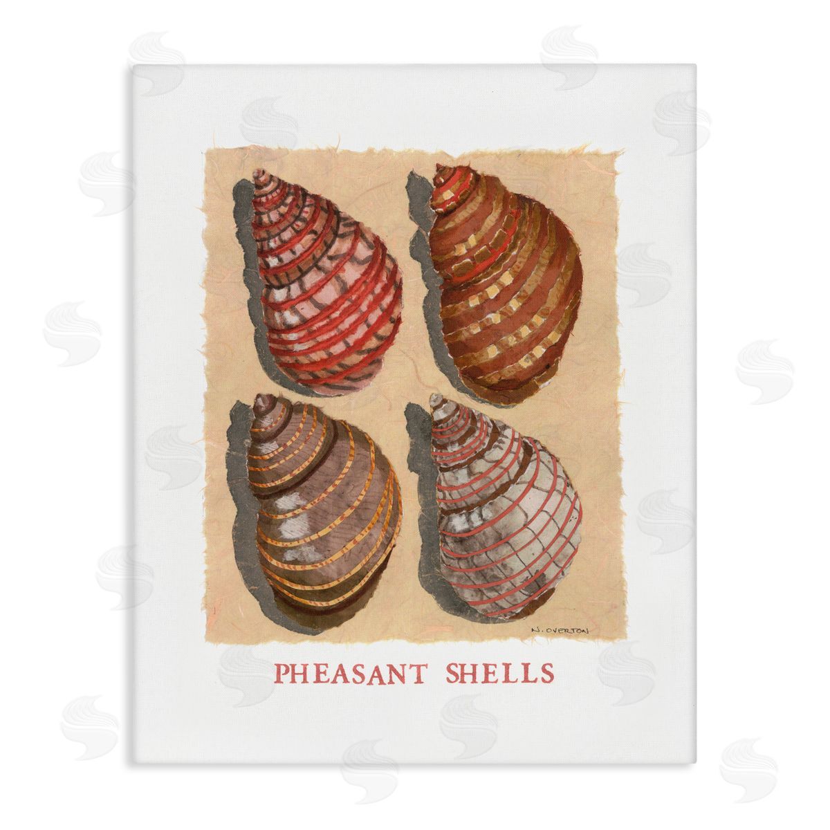 Nancy Overton Nautical Pheasant Shells Canvas Wall Art Print