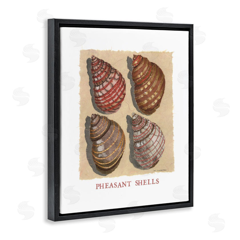 Nancy Overton | Nautical Pheasant Shells