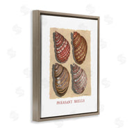Nancy Overton | Nautical Pheasant Shells