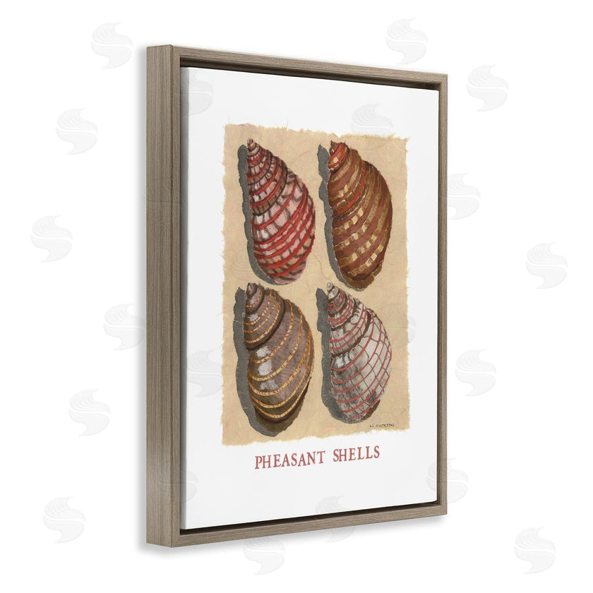 Nancy Overton | Nautical Pheasant Shells