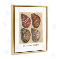 Nancy Overton | Nautical Pheasant Shells