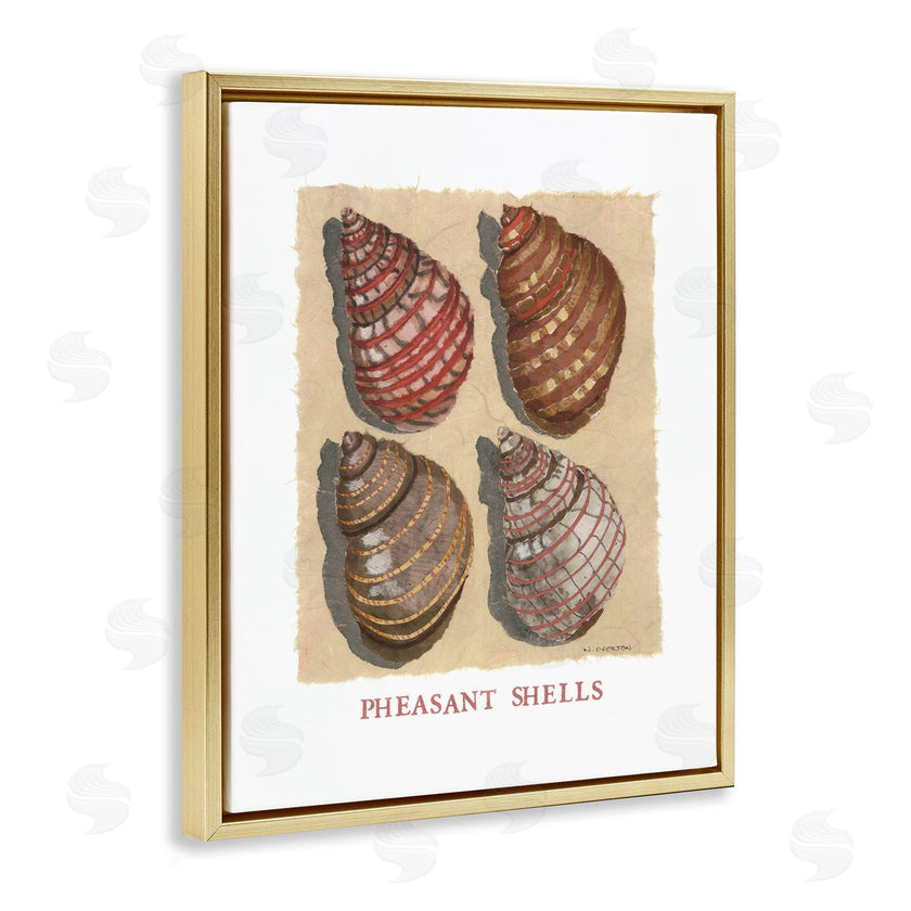 Nancy Overton | Nautical Pheasant Shells