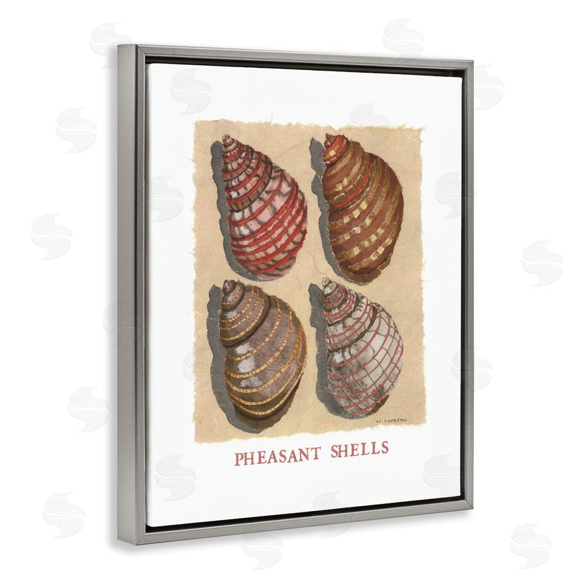 Nancy Overton | Nautical Pheasant Shells