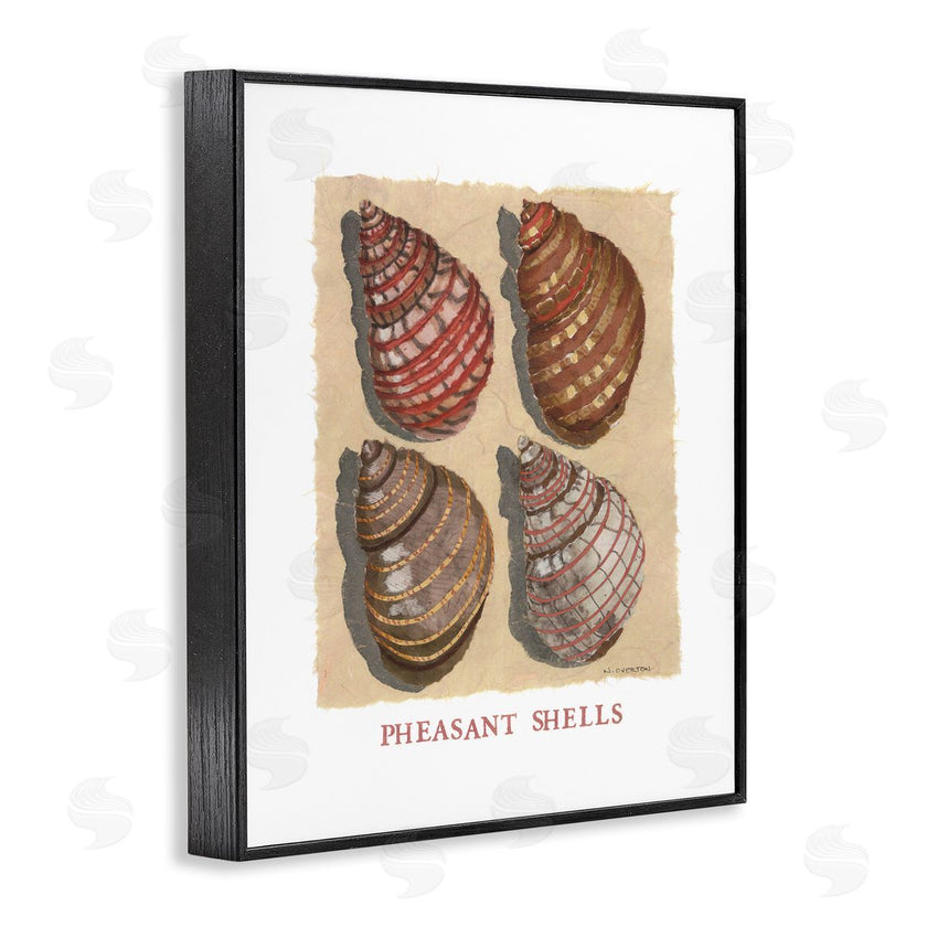 Nancy Overton | Nautical Pheasant Shells