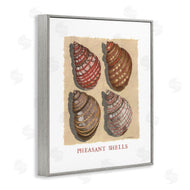 Nancy Overton | Nautical Pheasant Shells
