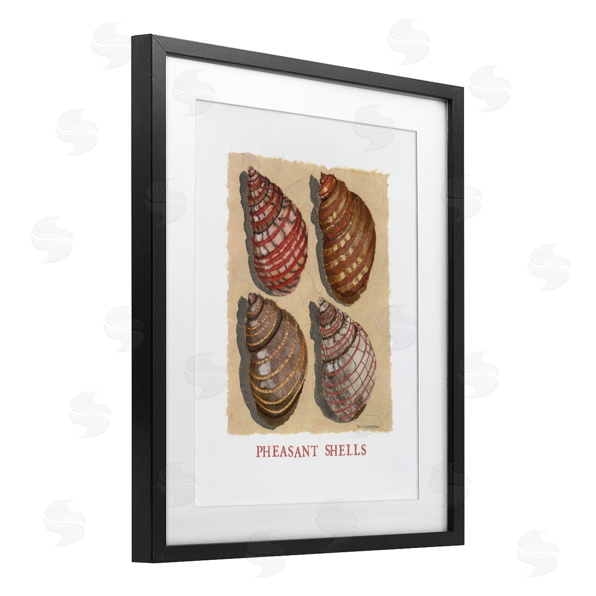 Nancy Overton Nautical Pheasant Shells Canvas Wall Art Print