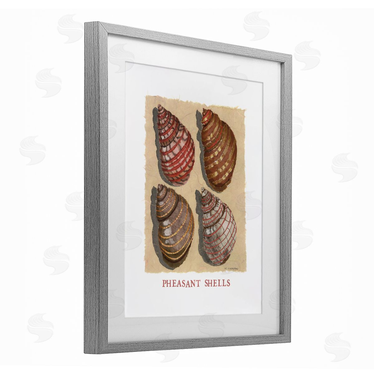 Nancy Overton Nautical Pheasant Shells Canvas Wall Art Print