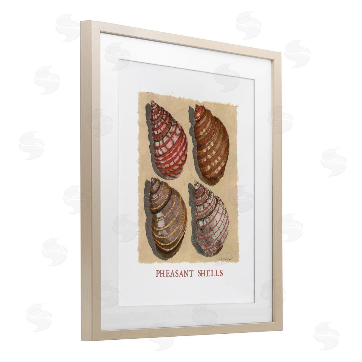 Nancy Overton Nautical Pheasant Shells Canvas Wall Art Print