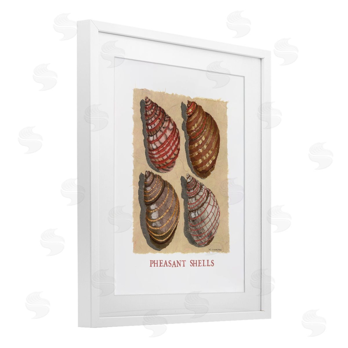 Nancy Overton Nautical Pheasant Shells Canvas Wall Art Print
