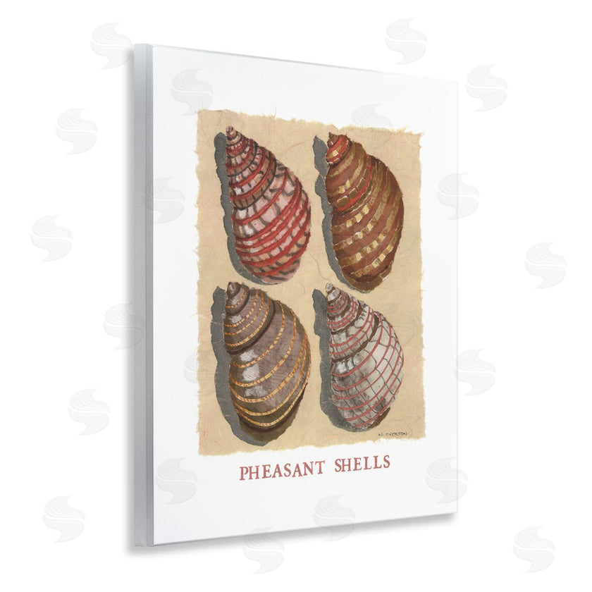 Nancy Overton | Nautical Pheasant Shells