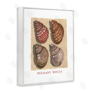 Nancy Overton | Nautical Pheasant Shells