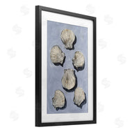 Michael Willett | Embellished Seashells Over Blue