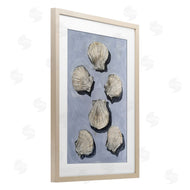 Michael Willett | Embellished Seashells Over Blue