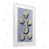 Michael Willett | Embellished Seashells Over Blue
