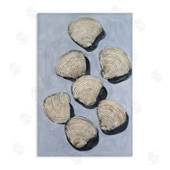 Michael Willett | Embellished Shells Collection