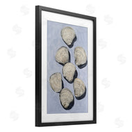 Michael Willett | Embellished Shells Collection