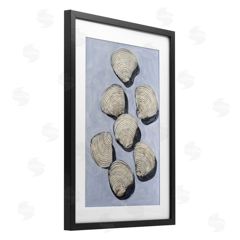 Michael Willett | Embellished Shells Collection
