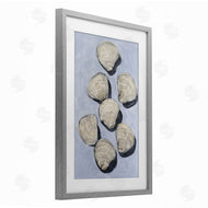 Michael Willett | Embellished Shells Collection