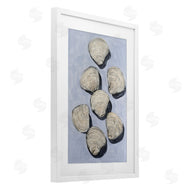 Michael Willett | Embellished Shells Collection