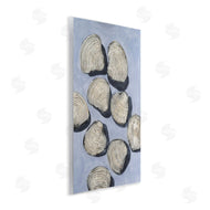 Michael Willett | Embellished Shells Arrangement