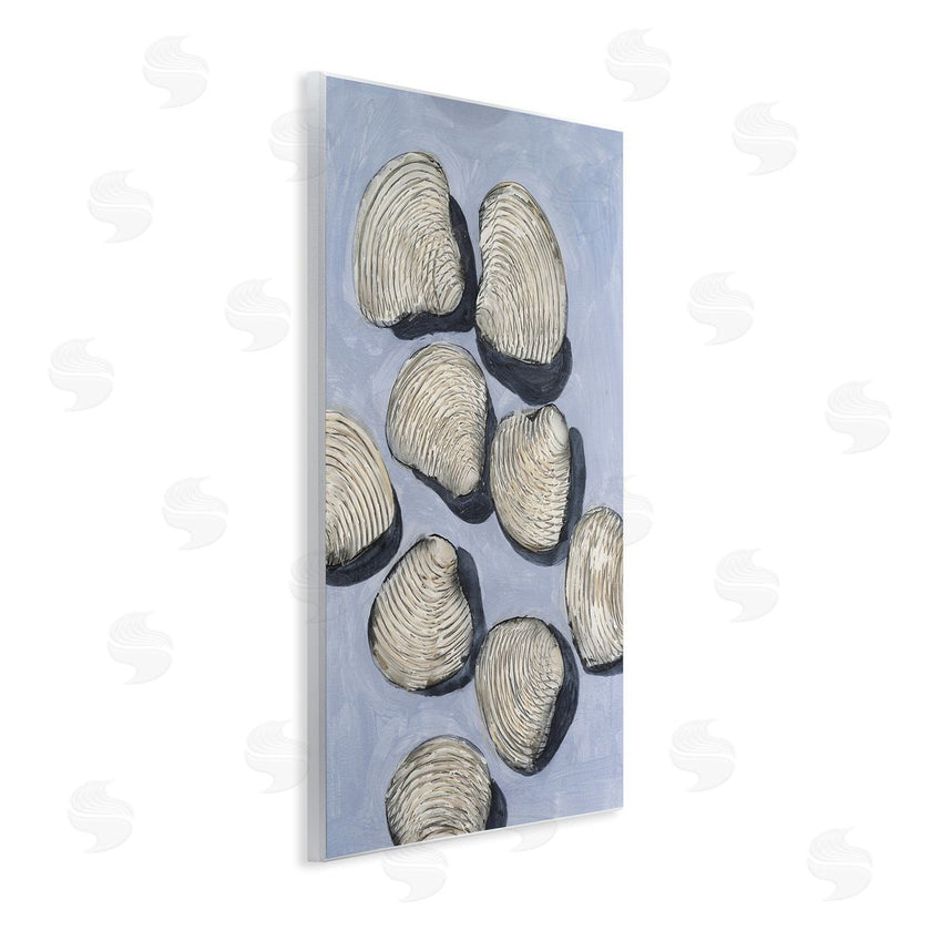 Michael Willett | Embellished Shells Arrangement
