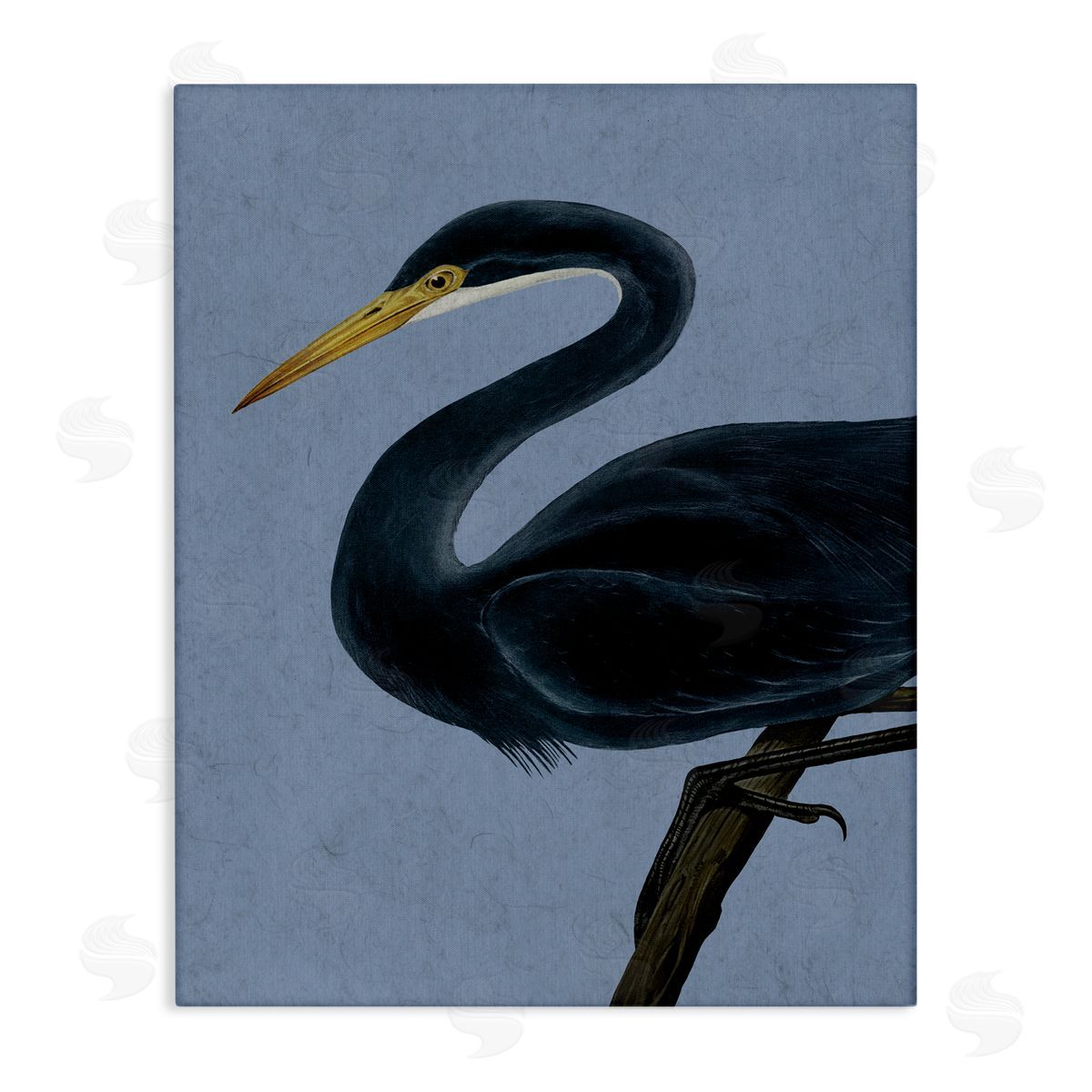 Grace Popp Black Perched Heron Canvas Wall Art Print