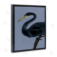 Grace Popp | Black Perched Heron