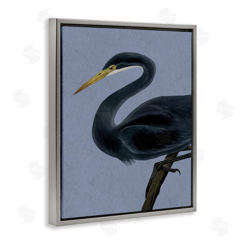Grace Popp | Black Perched Heron