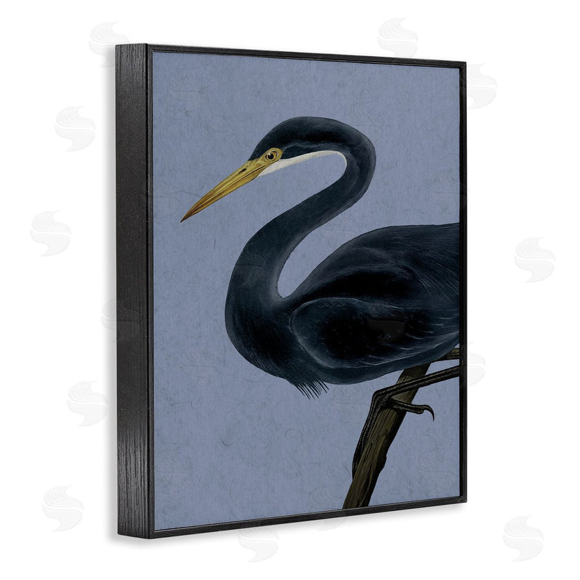 Grace Popp | Black Perched Heron