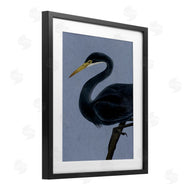 Grace Popp | Black Perched Heron