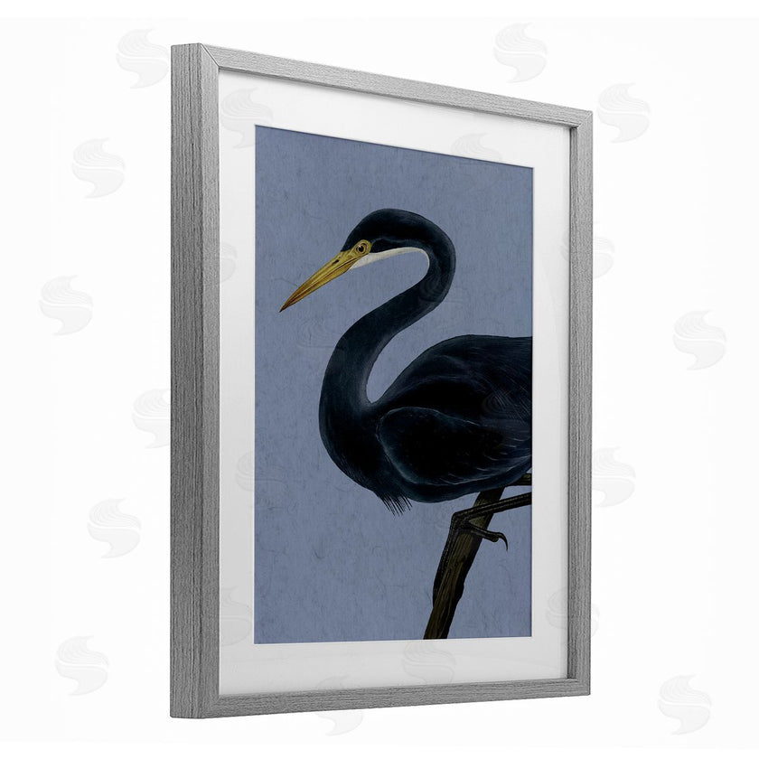 Grace Popp | Black Perched Heron