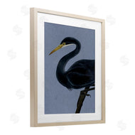 Grace Popp | Black Perched Heron