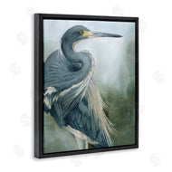 Grace Popp | Bayou King Bird