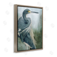Grace Popp | Bayou King Bird