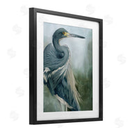 Grace Popp | Bayou King Bird