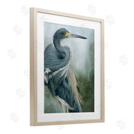 Grace Popp | Bayou King Bird