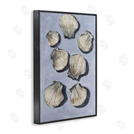 Michael Willett | Embellished Seashells Still Life