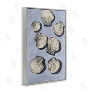 Michael Willett | Embellished Seashells Still Life