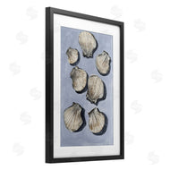Michael Willett | Embellished Seashells Still Life