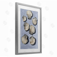 Michael Willett | Embellished Seashells Still Life