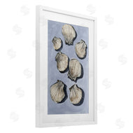 Michael Willett | Embellished Seashells Still Life