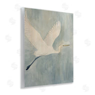Grace Popp | Island Specter Bird