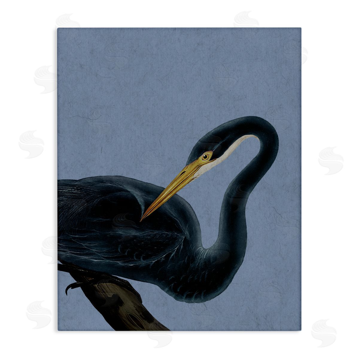 Grace Popp Bayou Heron Bird Canvas Wall Art Print