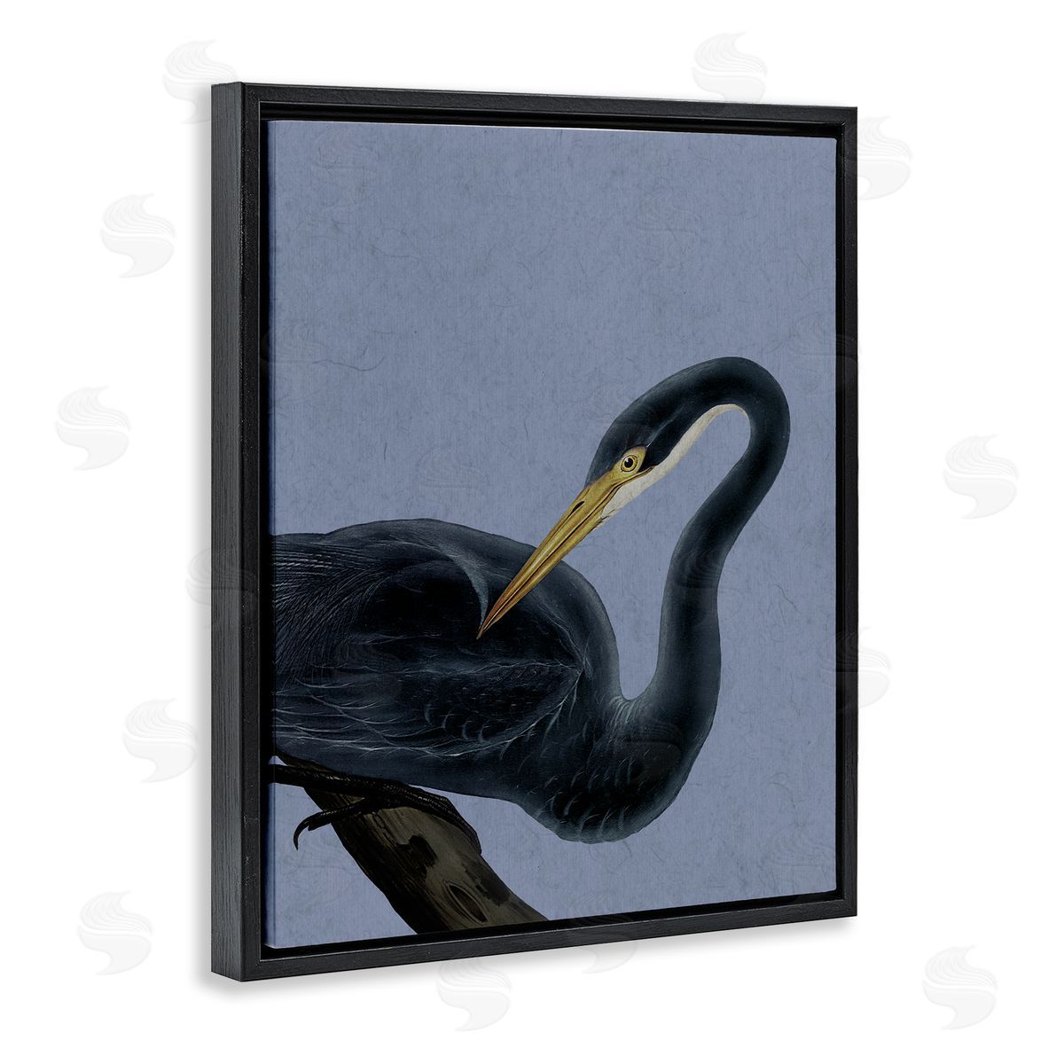 Grace Popp Bayou Heron Bird Canvas Wall Art Print